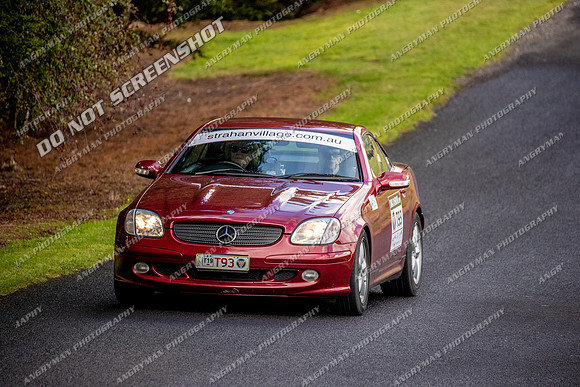 T93 - TS08 - PALOONA - JL-2