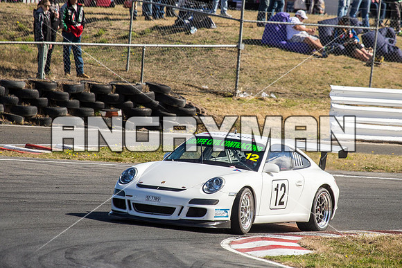 12 Adam Garwood Porsche Cup Car - Sports GT Fred-2