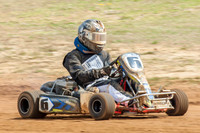 Karts