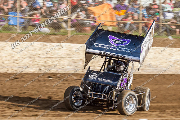sprintcar 14 t14 mark house - 10 - Latrobe - 28th Dec 2013-3