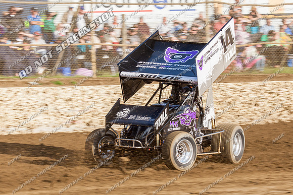 sprintcar 14 t14 mark house - 10 - Latrobe - 28th Dec 2013-6