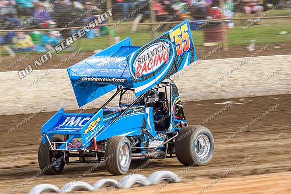 sprintcar 55 t55 jamie bricknell - 10 - Latrobe - 28th Dec 2013