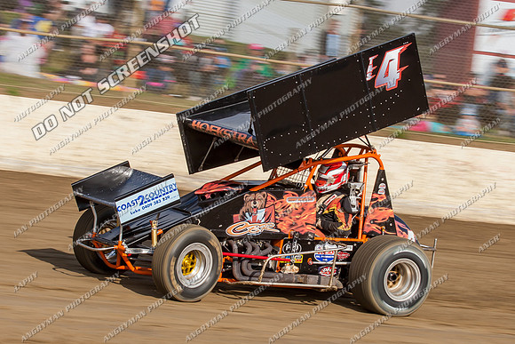 sprintcar 4 t4 t04 gerry hoekstra - 10 - Latrobe - 28th Dec 2013