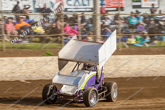 sprintcar 17 t17 jason dawkins - 10 - Latrobe - 28th Dec 2013
