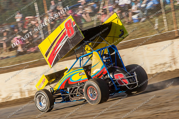 sprintcar 8 t8 curt smith - 13 - Hobart - 11th Jan 2014-13