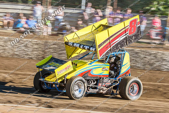 sprintcar 8 t8 curt smith - 13 - Hobart - 11th Jan 2014-4