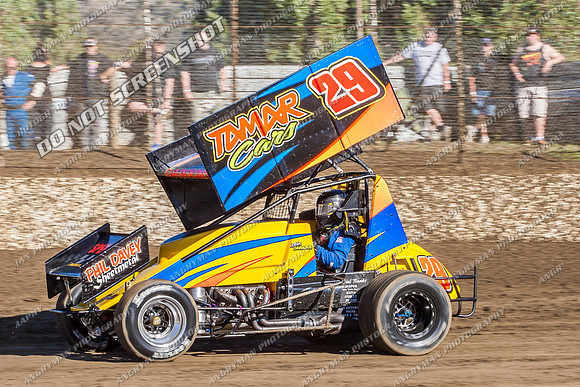 sprintcar 29 t29 robin dawkins - 13 - Hobart - 11th Jan 2014-4