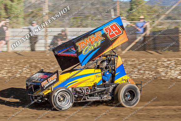 sprintcar 29 t29 robin dawkins - 13 - Hobart - 11th Jan 2014-12
