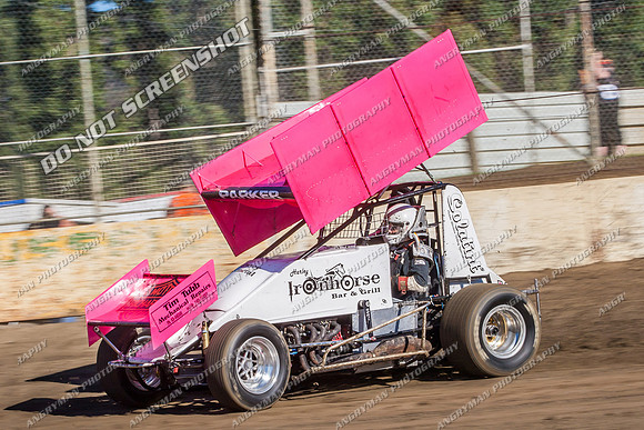 sprintcar 69 t69 michael parker - 13 - Hobart - 11th Jan 2014