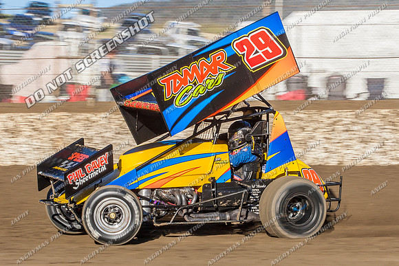 sprintcar 29 t29 robin dawkins - 13 - Hobart - 11th Jan 2014-11