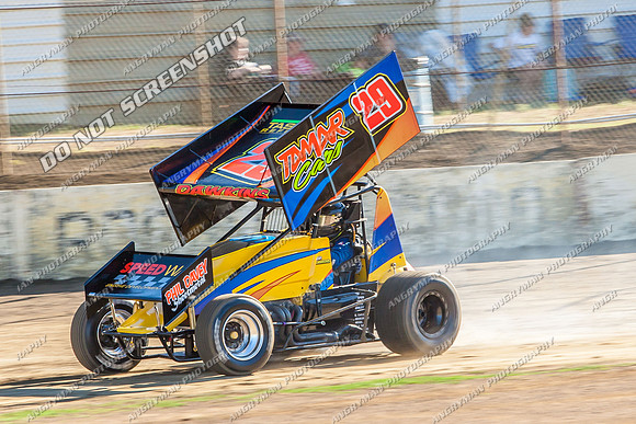 sprintcar 29 t29 robin dawkins - 13 - Hobart - 11th Jan 2014
