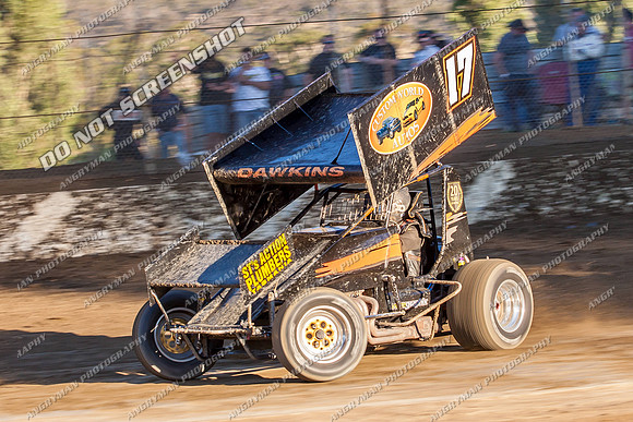 sprintcar 17 t17 jason dawkins - 13 - Hobart - 11th Jan 2014-14