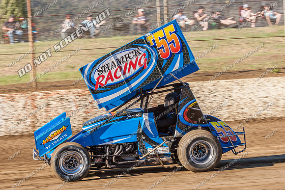 sprintcar 55 t55 jamie bricknell - 13 - Hobart - 11th Jan 2014