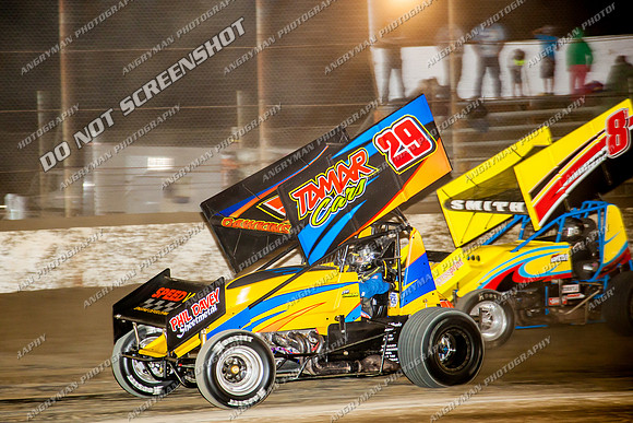 sprintcar 29 t29 robin dawkins - 13 - Hobart - 11th Jan 2014-16