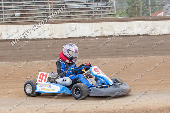 Kart 91 - 8 - Hobart - 14th Dec 2013-3