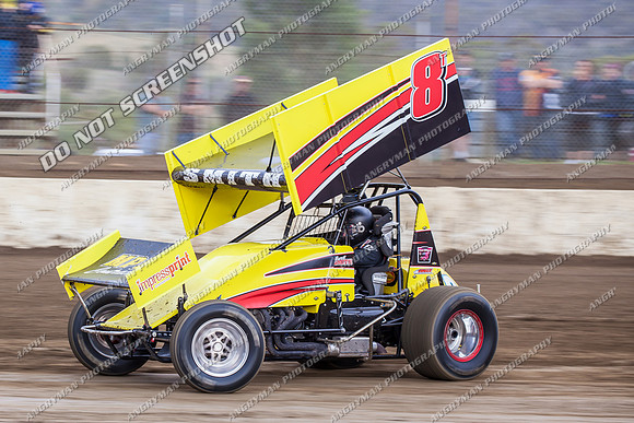 sprintcar 8 t8 t08 curt smith - 8 - Hobart - 14th Dec 2013-2
