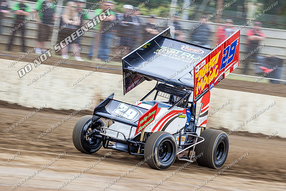 sprintcar 29 t29 robin dawkins - 8 - Hobart - 14th Dec 2013-2