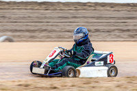 kart 3 - 15 - Latrobe - 18th Jan 2014-5