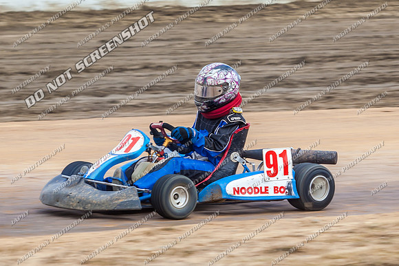 Kart 91 - 15 - Latrobe - 18th Jan 2014-3