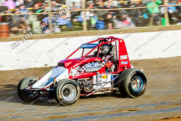 wingless 6 t6 chris breen - 15 - Latrobe - 18th Jan 2014-4