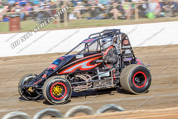wingless 21 t21 joe turnbull - 15 - Latrobe - 18th Jan 2014-3