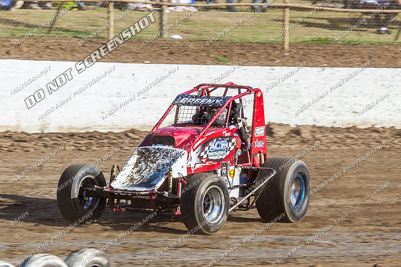 wingless 6 t6 chris breen - 15 - Latrobe - 18th Jan 2014-3