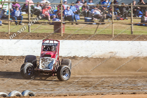 wingless 6 t6 chris breen - 15 - Latrobe - 18th Jan 2014-2