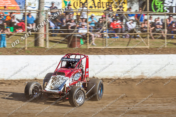 wingless 6 t6 chris breen - 15 - Latrobe - 18th Jan 2014