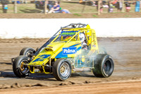 Wingless