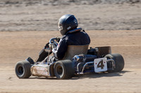 Kart 4 - 17 - Hobart - 26th Jan 2014-3
