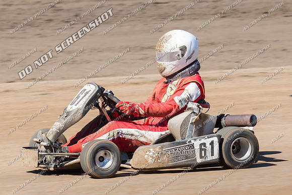 kart 61 - 17 - Hobart - 26th Jan 2014-6