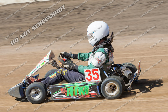 Kart 35 - 17 - Hobart - 26th Jan 2014-5
