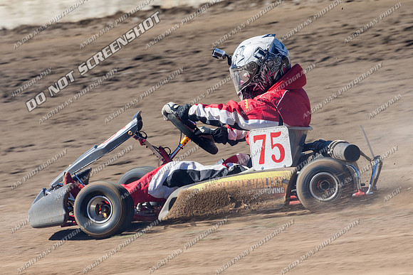 Kart 75 - 17 - Hobart - 26th Jan 2014-2