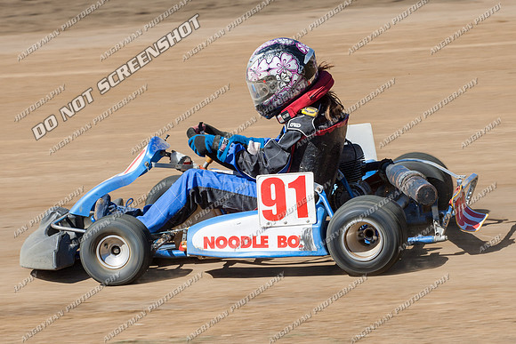 Kart 91 - 17 - Hobart - 26th Jan 2014-2