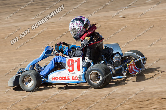 Kart 91 - 17 - Hobart - 26th Jan 2014-3