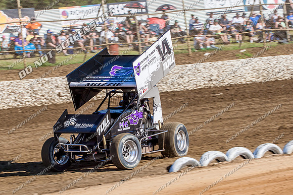 sprintcar 14 t14 mark house - 19 - Latrobe - Jan 31 2014