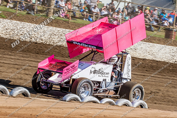 sprintcar 69 t69 michael parker - 19 - Latrobe - Jan 31 2014-2
