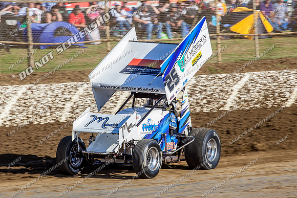 sprintcar 25 t25 anthony frost - 19 - Latrobe - Jan 31 2014-3