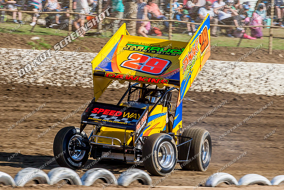 sprintcar 29 t29 robin dawkins - 19 - Latrobe - Jan 31 2014