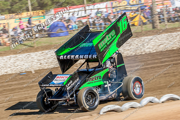 sprintcar 16 t16 adam alexander - 19 - Latrobe - Jan 31 2014-2