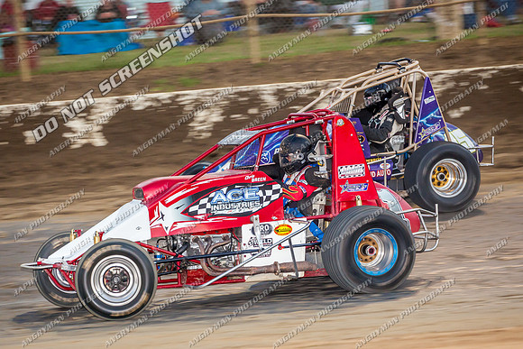 wingless 6 t6 chris breen - 19 - Latrobe - Jan 31 2014-3