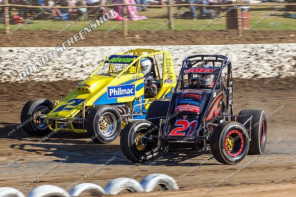 wingless 21 t21 joe turnbull - 19 - Latrobe - Jan 31 2014-2