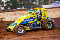 Wingless