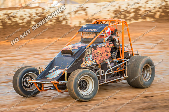 wingless 4 t4 gerry hoekstra - 26 - Carrick - 22nd Feb 2014-4
