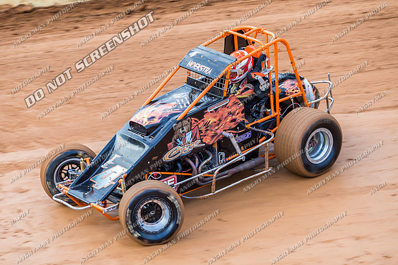 wingless 4 t4 gerry hoekstra - 29 - Carrick - 7th March 2014