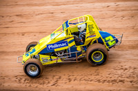 Wingless