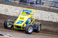 Wingless