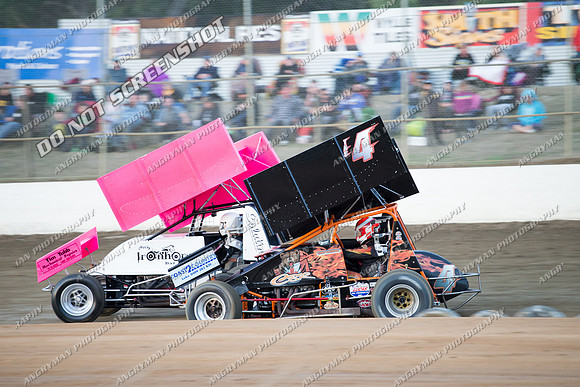 sprintcar 4 t4 gerry hoekstra - 31 - Latrobe - 22nd March 2014-5