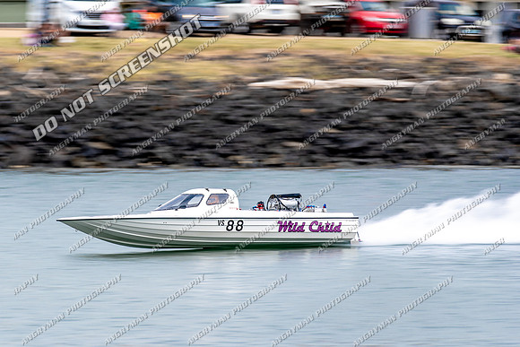 Unlimited - 88 - Wild Child - Devonport Regatta 2019-2