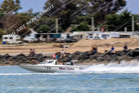 Unlimited - 88 - Wild Child - Devonport Regatta 2019-11